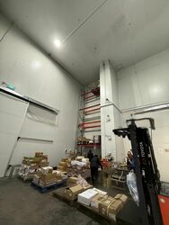 LINER (D22), Warehouse #475690591